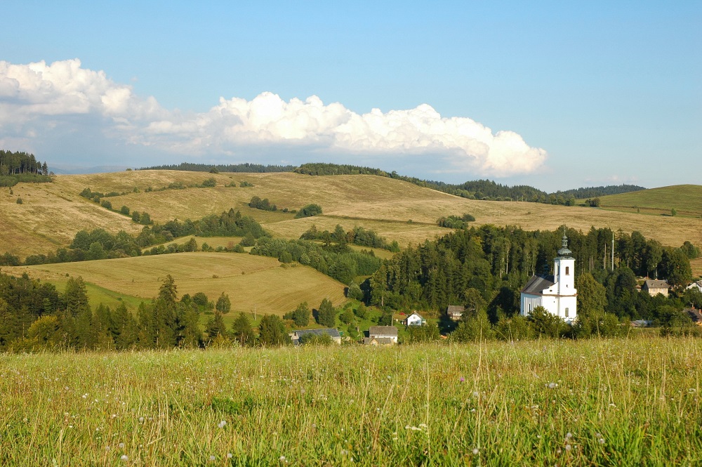 Ptačí oblast Králický Sněžník - Kopřivná